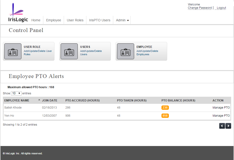 Custom Software Development Services,custom software development company IrisPTO